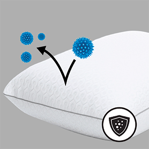 Platinum Pillow allergy defense